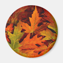 Fall leaves magnet