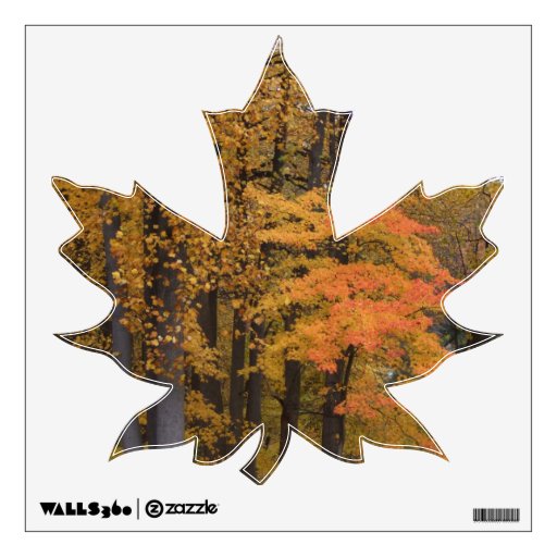 Fall Leaves Maple Leaf Wall Decal Zazzle