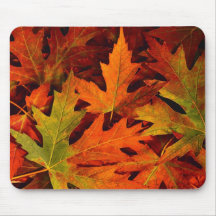 fall leaves mouse pad