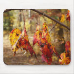 Fall Leaves Mouse Pad