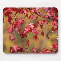 Fall Leaves mousepads by daytona235 Fall Leaves mousepads