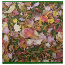 Fall Leaves Napkin napkins