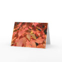 Fall Leaves Note Card