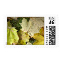 Fall Leaves postage