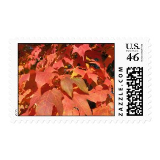 fall leaves postage stamp stamp