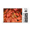 fall leaves postage stamp