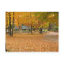 Fall Leaves Post Card