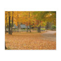 Fall Leaves postcards by churchto12 Fall Leaves postcards