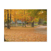 Fall Leaves postcards by churchto12 Fall Leaves postcards