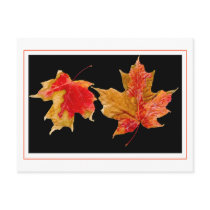 fall leaves postcards