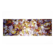 Fall Leaves posters