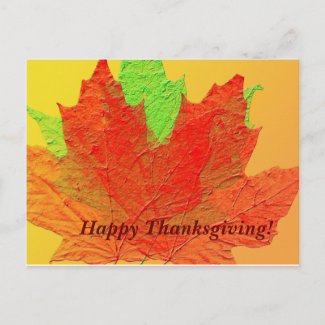 Fall leaves Thanksgiving Postcard postcard