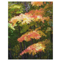 Fall letterhead by PhotoLisa Fall letterhead