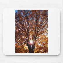 Fall Light Mousepads