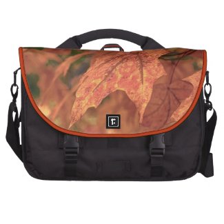 Fall Maple Leaf HDR Laptop Messenger Bag