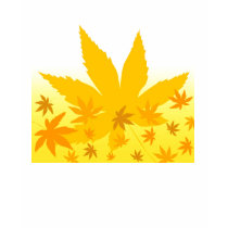 Fall maple leaves t-shirts