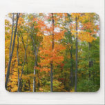 Fall Maple Trees Mousepad