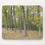 Fall Mousepad