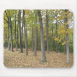 Fall Mousepad