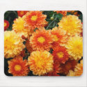 Fall Mums mousepads by princessklb07 Fall Mums mousepads