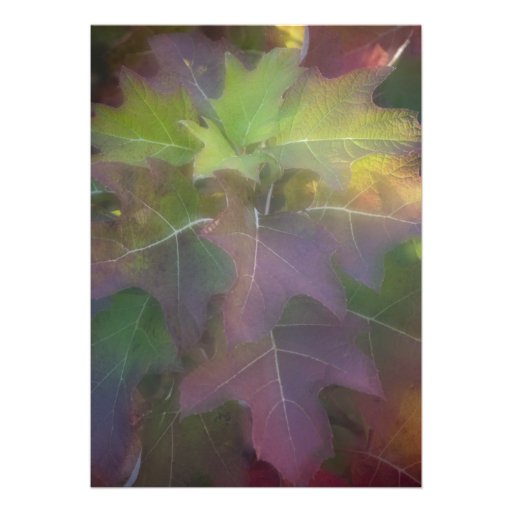 Fall Oak Leaf Hydrangea Post Wedding Brunch Invite