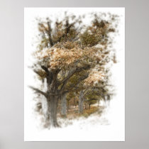 Fall Oak Trees Print posters