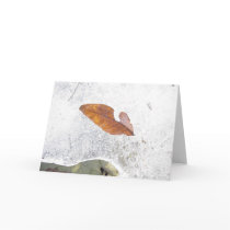 Fall on Hold Greeting Card
