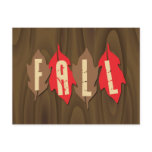 Fall on Leaves Postcards