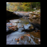 Fall on the Williams posters