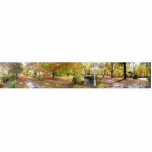 Fall Panorama ~ Photo Sculpture