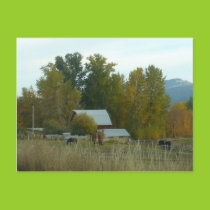 Fall Pasture Postcard postcards