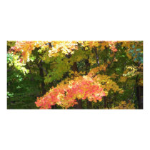 Fall photo cards