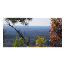 fall photo cards