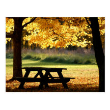 Fall picnic post cards