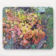 Fall poison ivy mousepads