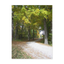 fall post card postcards by PhotoLisa fall post card postcards