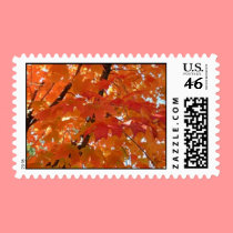 Fall stamps
