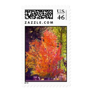 Fall Postage Stamps stamp