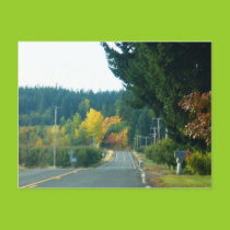 Fall Postcard postcards