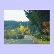 Fall Postcard by shawke123 Fall Postcard