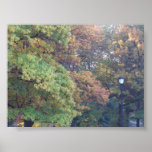 Fall Poster