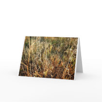 Fall Prairie Spider Halloween card by AquarianM Fall Prairie Spider Halloween card