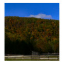 fall posters