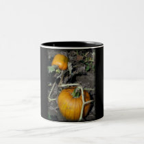 Fall Pumpkins Unique Holiday Coffee Mugs! mugs