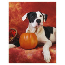 Fall puppy flyers