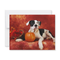 Fall puppy invitations
