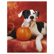 Fall puppy letterhead