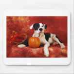 Fall puppy mousepad