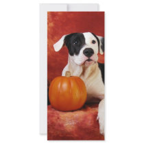 Fall puppy rack cards by lover196969 Fall puppy rack cards