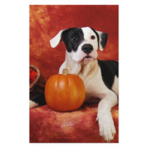 Fall puppy stationery
